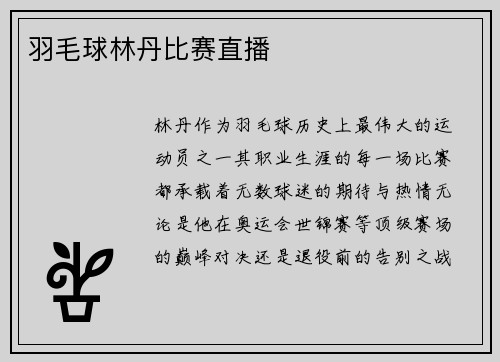 羽毛球林丹比赛直播